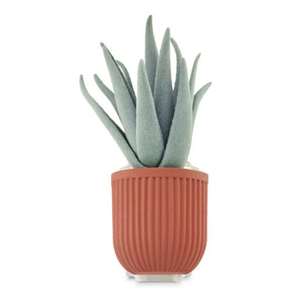 Potted Succulent Wallflowers Fragrance Plug