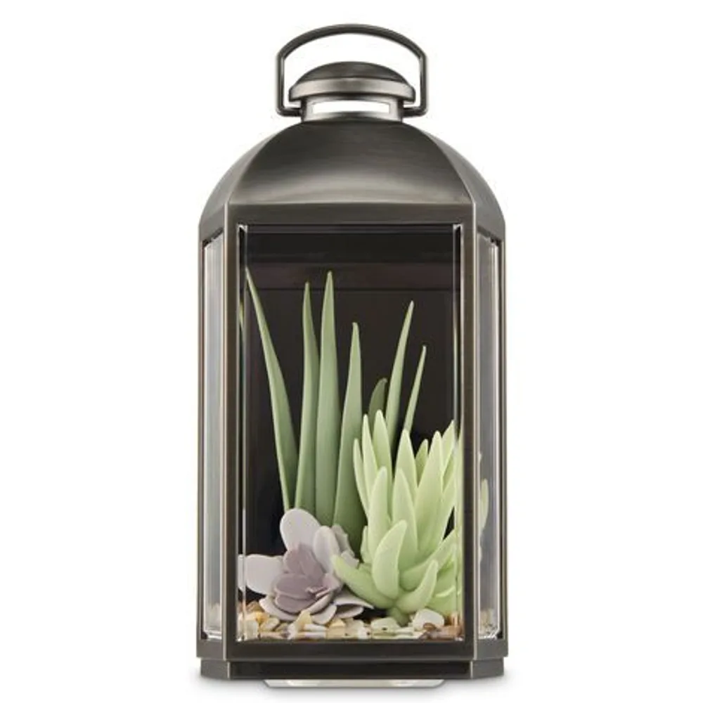 Succulent Lantern Wallflowers Fragrance Plug