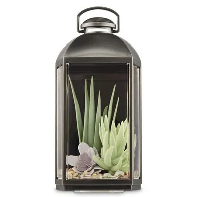 Succulent Lantern Wallflowers Fragrance Plug