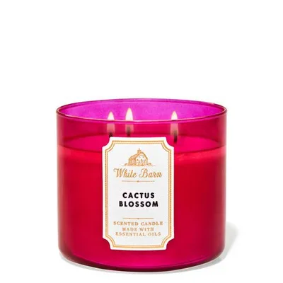 Cactus Blossom 3-Wick Candle