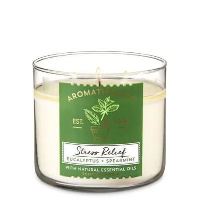 Aromatherapy Eucalyptus Spearmint 3-Wick Candle