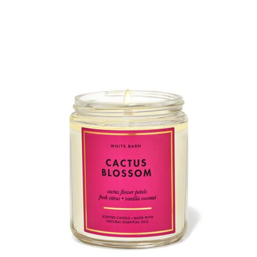 Cactus Blossom Single Wick Candle