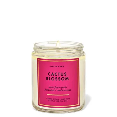 Cactus Blossom Single Wick Candle