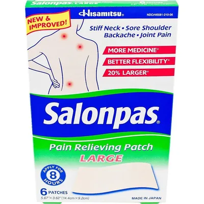 Salonpas Pain Relieving Patch Large
