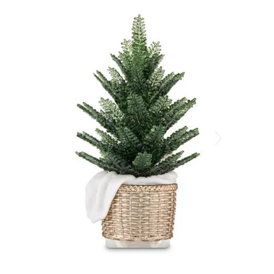 Potted Pine Nightlight Wallflowers Fragrance Plug