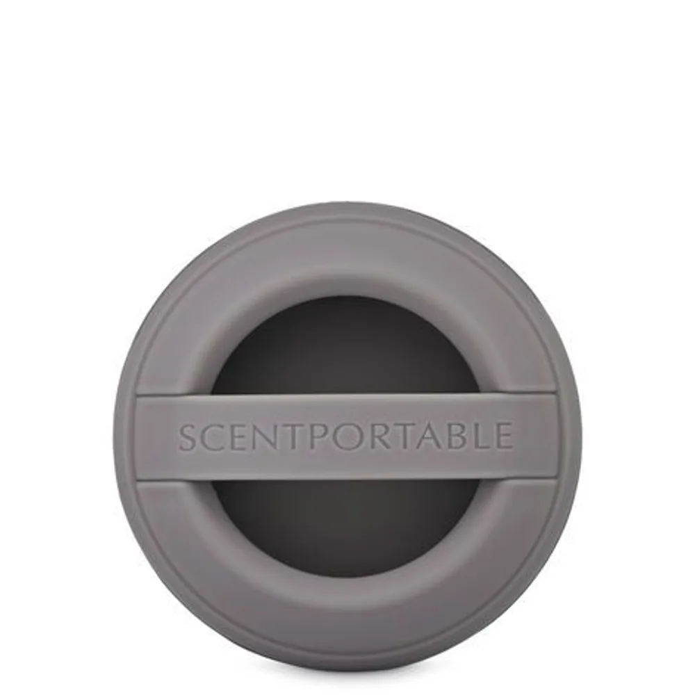 Gray Matte Visor Fragrance Holder