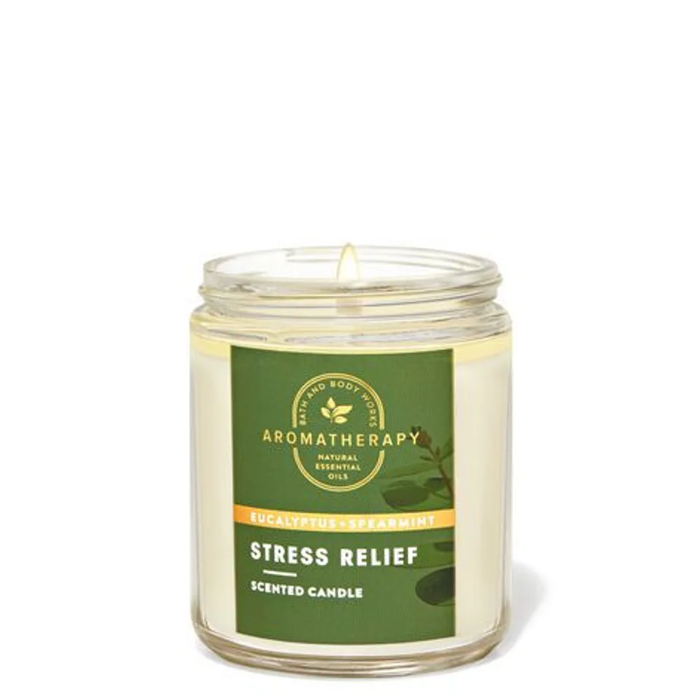 Aromatherapy Eucalyptus Spearmint Single Wick Candle
