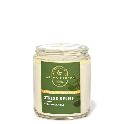 Aromatherapy Eucalyptus Spearmint Single Wick Candle