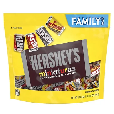 Hershey's Mini Assorted Chocolate Snack Size Candy Family Bag