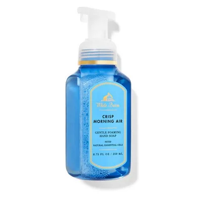 Crisp Morning Air Gentle Foaming Hand Soap