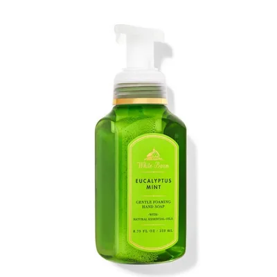 Eucalyptus Mint Gentle Foaming Hand Soap